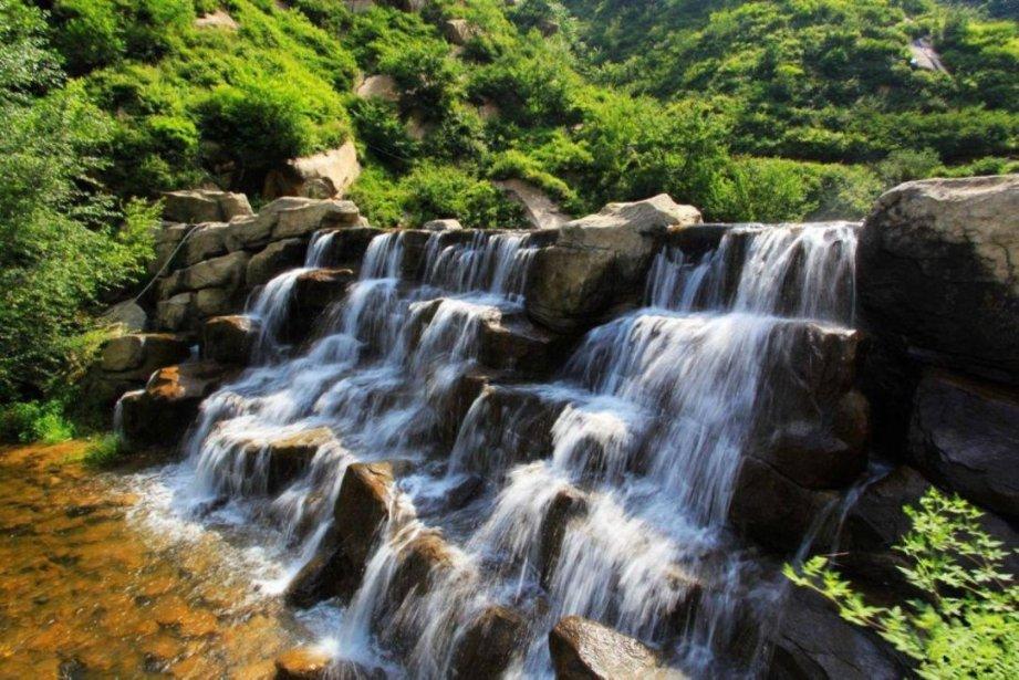 龙年将至!高达5米的“中华龙”亮相申城 以艺术行动赋能城市美育